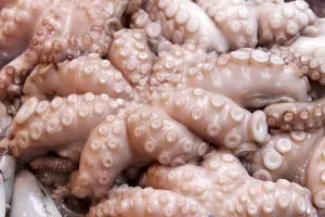Octopus sold at a fish market