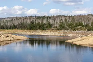 Oderteich dam, dead trees, Harz National Park