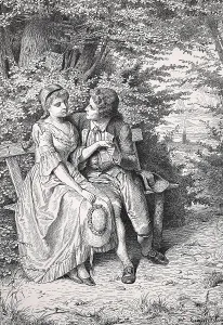 Ohann Wolfgang von Goethe was a German writer and statesman