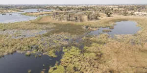 Okavango Delta Botswana aerial view shot from a helicopter
