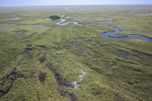Okawango Delta pan style, meandering courses of the Okawango River