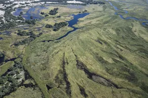 Okawango Delta pan style, meandering courses of the Okawango River