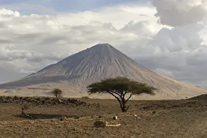 Ol Doinyo Lengai Volcano