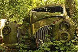Old abanoded car in a forest