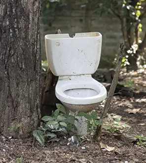 Old broken toilet stands in the woods near a tree