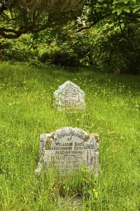 Old gravestones amidst a dense green lawn in a tranquil setting