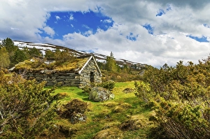Category Scandinavia Prints: Old hut with a grass roof, Utvikfjell