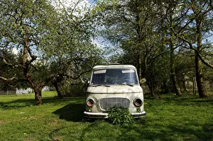 Old minibus from the DDR in an orchard