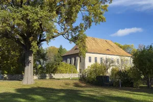 Old oak (Quercus) and historic building in Diehsa
