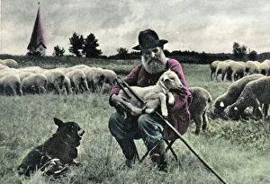 Old postcard, kitsch, an old shepherd holding a lamb in his arms