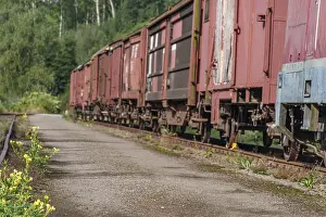Old red goods wagons on a railway track in a rural setting
