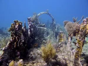Old shipwreck under water overgrown with coral