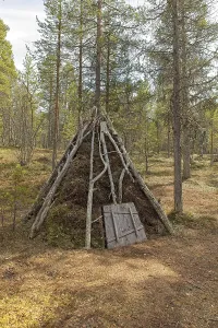 Old Skolt Sami sheep shelter at Sevettijarvi open-air museum in spring
