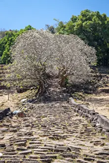 Old stairs at Wat Phou temple, Laos