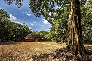 An old stupa between tall trees with a clear sky and shady areas