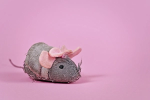 Old tattered cat toy mouse with threads sticking out and ribbon on head on pink background
