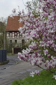 Old village centre in Weckrieden