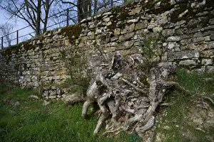 Old wall on Friedensberg, Schwabisch Hall