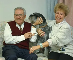 Older couple playing with medium schnauzer