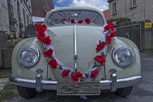 Oldtimer, VW Beetle from 1955 as wedding car decorated with roses