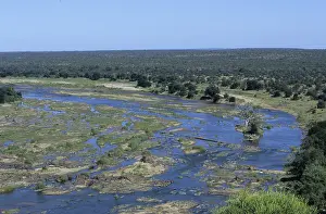 Olifant River