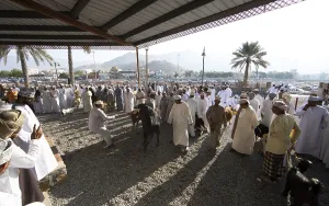 Omani men in traditional dress at the livestock market in the souk or soug or market in the old town of Nizwa