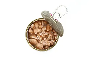 Opened can of cat food, with chicken meat