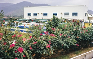 Opening ceremony of the Aureal Tobacco Co Ltd building, Wellington Industrial Estate, Freetown, Sierra Leone, West Africa, 1963, Africa