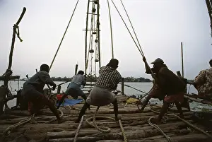 Operating Chinese fishing net, (cochin) kochi
