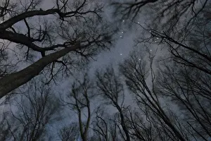 Ophiuchus star constellation, Night sky