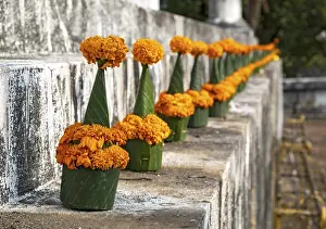Orange-colored marigold flowers used to pay respect and homage to Buddha