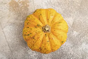 Orange Pumpkin on brown concrete background