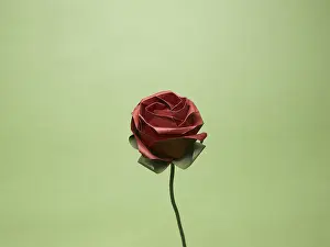 Origami rose India Asia