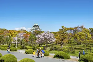 Osaka castle with blooming cherry trees in the park