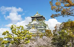 Osaka castle with blooming cherry trees in the park