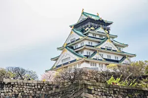 Osaka castle with cherry blossoms of spring in Japan