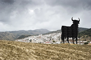 Osborne bull near Antequera, Andalusia
