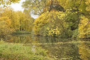 Outer moat covered by surrounding yellow autumn trees and foliage
