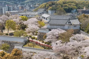 Outside Himeji Castle, Himeji-jO