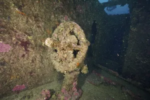 Overgrown rotating wheel in a mysterious shipwreck