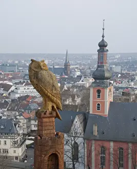 Owl over Bad Kreuznach