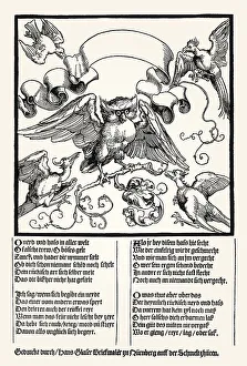 Owl fight with other birds, leaflet about hate and envy by Albrecht Duerer and Hans Sachs