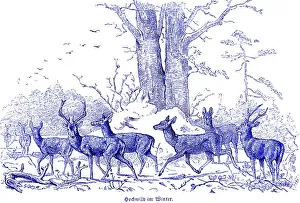 Pack of big game in winter, Hubertus hunting
