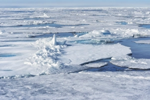 Category Scandinavia Prints: Pack ice, Arctic Ocean, Spitsbergen