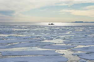 Pack ice, Arctic, Svalbard, Norway, Europe