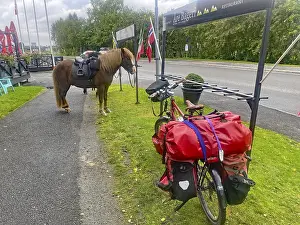 Packed bicycle and horse side by side on a road in front of a bakery with a flag