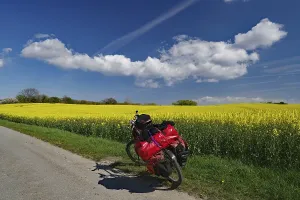 Category Scandinavia Prints: Packed bicycle standing on a narrow road in front of flowering rape fields