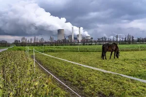 Paddock at the lignite-fired power station