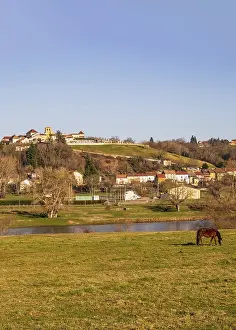Paddock on the Loire with a view of the village of Iguerande with its old bourg on the hill