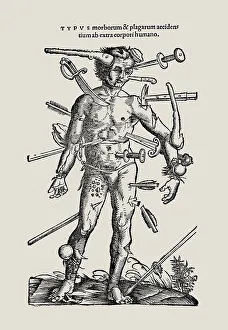 A page of the Physica or Liber simplicis medicinae